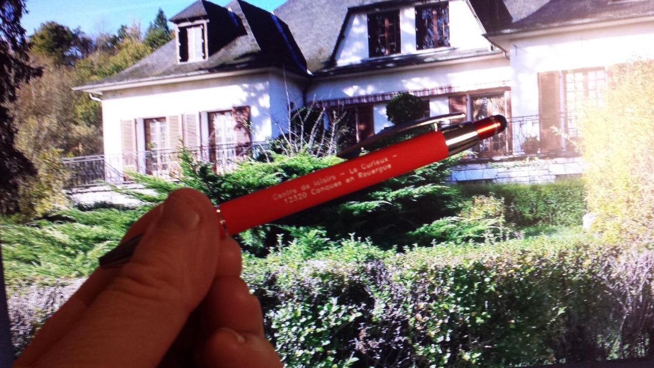 Le Curieux De Conques Bed & Breakfast Saint-Cyprien-sur-Dourdou ภายนอก รูปภาพ